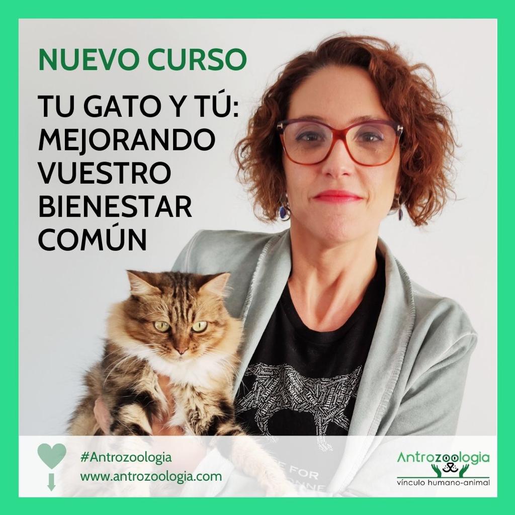 curso tu gato y tu