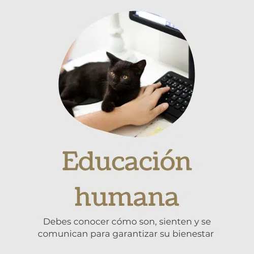 menu educación humana