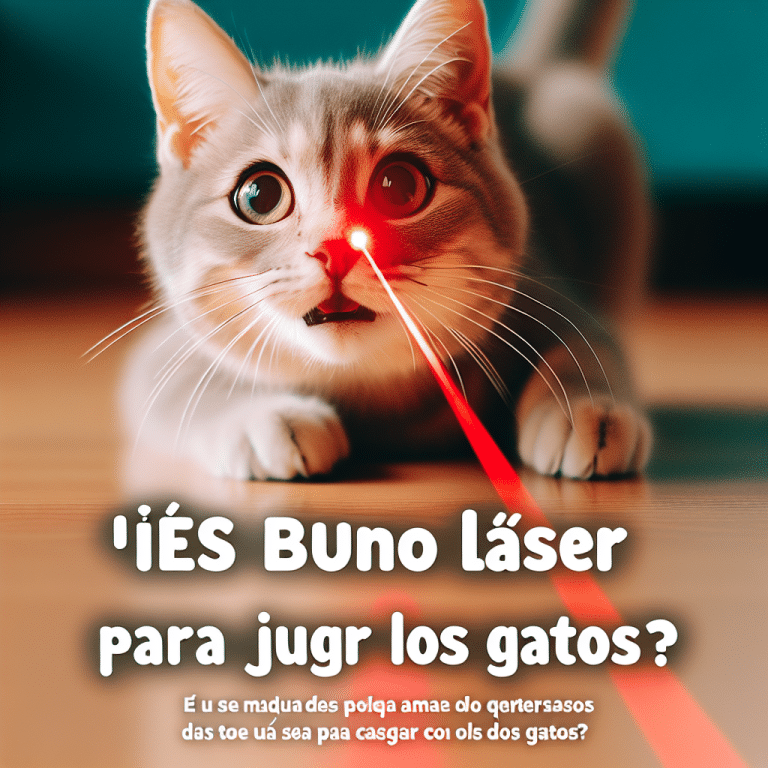 Beneficios y Precauciones del Uso de Láser para Jugar con Gatos – Guía Completa