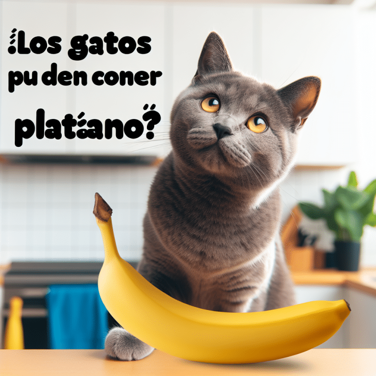 ¿Pueden los Gatos Comer Plátano? – Descubre la Verdad sobre los Felinos y esta Fruta