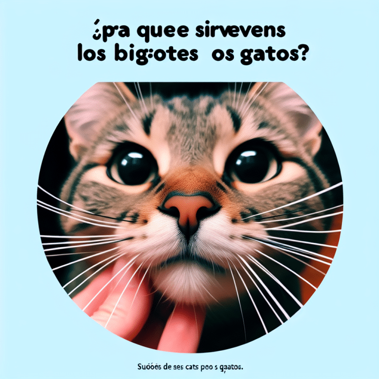 Descubre la Función Secreta: ¿Para Qué Sirven los Bigotes de los Gatos?