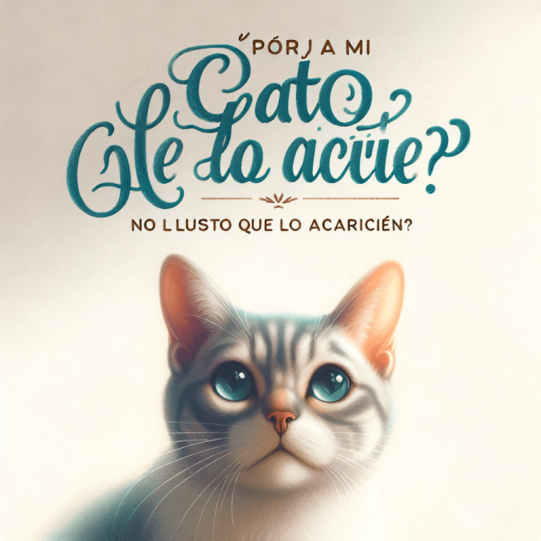 Descubre Los Motivos: ¿Por Qué a Mi Gato No Le Gusta Que Lo Acaricien?