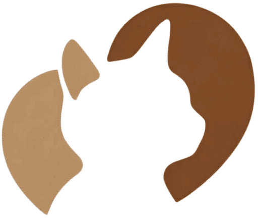 Gato adoptado – Etología Felina