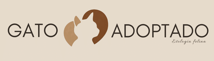 Gato adoptado – Etología Felina